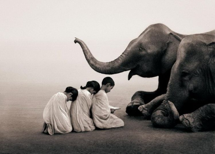 Люди и животные в фотографиях Gregory Colbert