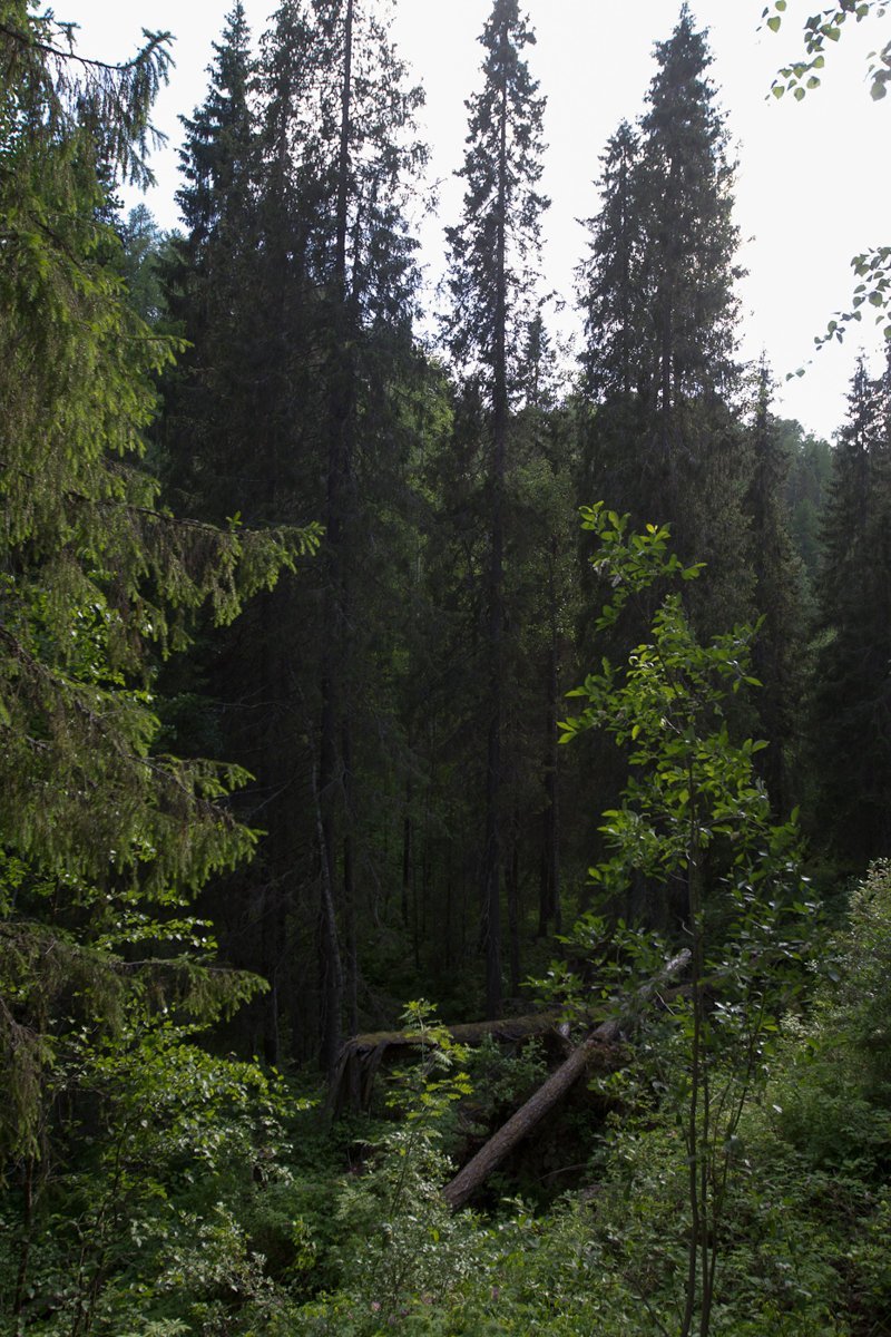 Архангельская область (скалы в Голубино) путешествия, факты, фото