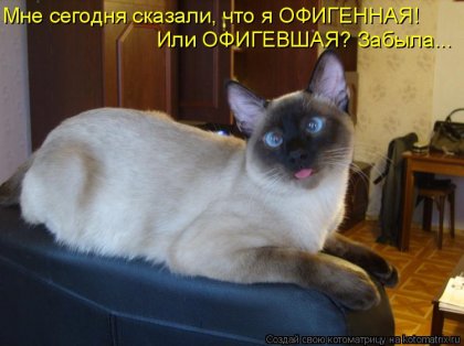 Котоматрица