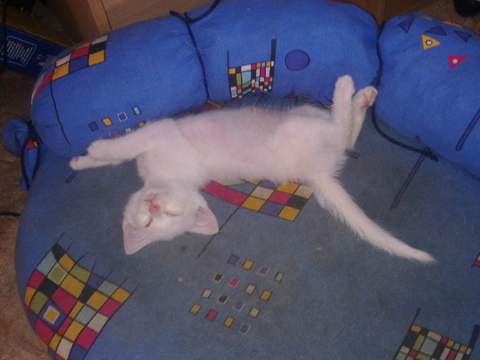 11072011110 (700x525, 91Kb)