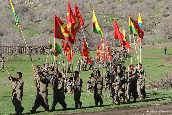 Курдские формирования несут свой флаг
