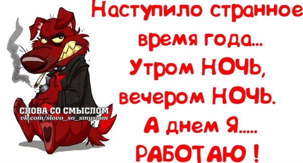 Прикольные фразочки в картинках