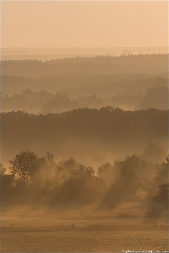 fog20 Королевство туманов