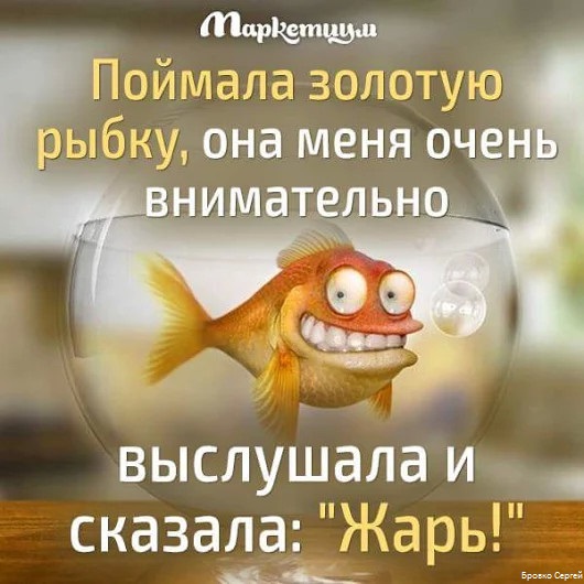 ироничные стихи про рыбу