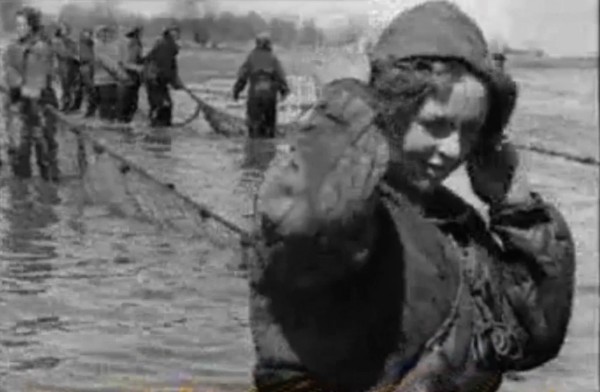 Вот такая рыбка когда-то ловилась в русских реках. Вот такая рыбка когда-то ловилась в русских реках.