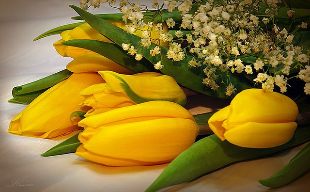 71723988_getImage (640x396, 187Kb)