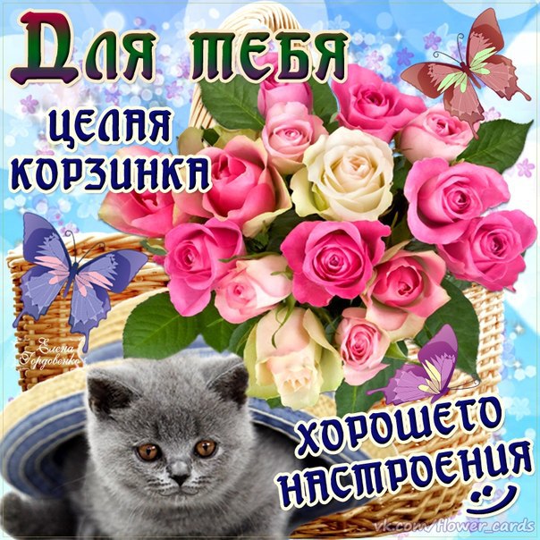 Открытки с настроение для тебя Открытки с настроение для тебя