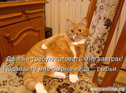 подайте рыбьи яйца
