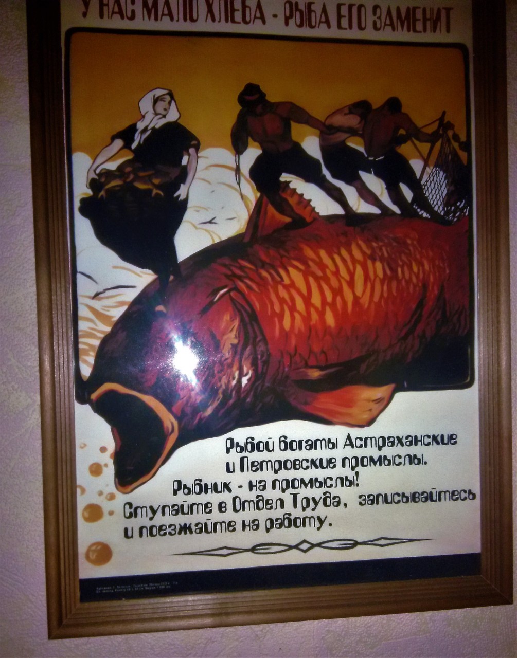 Каспийская сельдь: разрешена к вылову и очень вкусна. Каспийская сельдь: разрешена к вылову и очень вкусна.