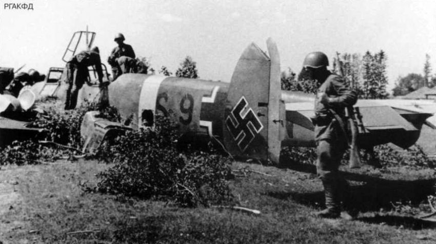 знаменитости, интересное