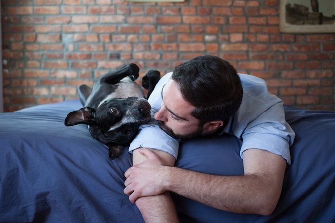 животные, отношения, люди, приют