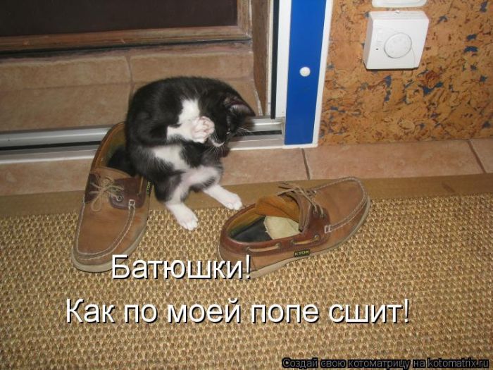 Лучшие котоматрицы за неделю