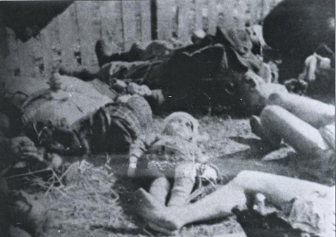 Польша, Волынская резня и европейские мечты Украины