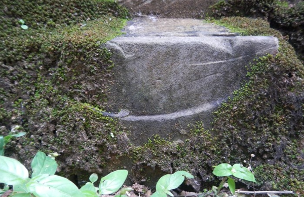 Фото взято с https://4stor.ru/strashno-interesno/104155-angkor-hram-voprosov-cirkulyarnyh-pil-i-razmyagchennyh-kamney.htm