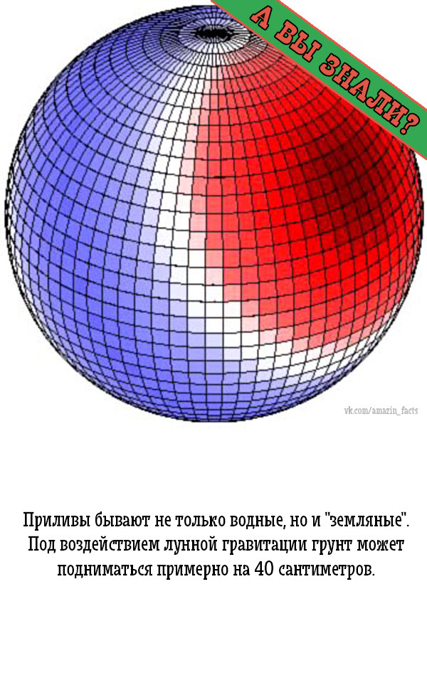 А вы знали? интересно, подборка, факты