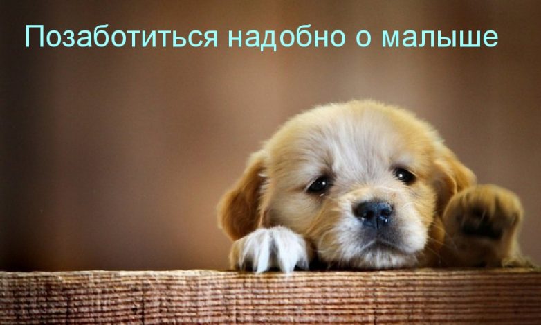 Дружба навеки