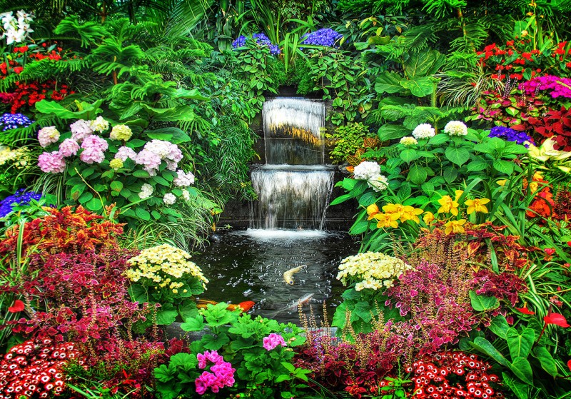   (Butchart Gardens),  , 