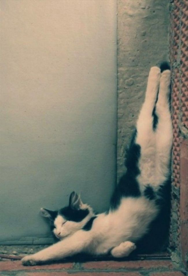       , , 