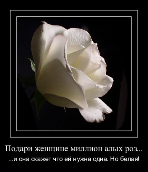 Смешные и веселые демотиваторы для поднятия настроения (10 фото) Смешные и веселые демотиваторы для поднятия настроения (10 фото)