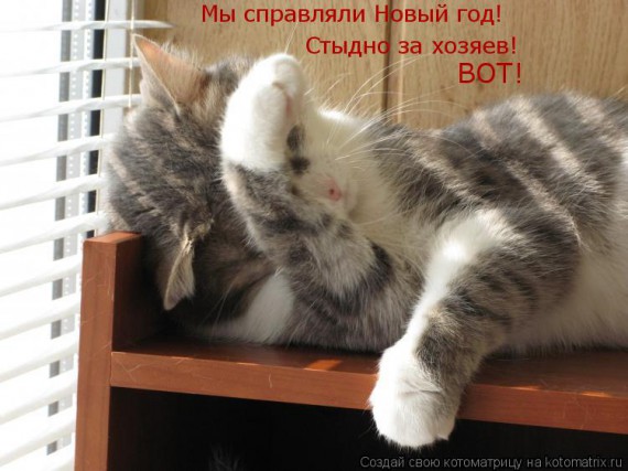 Котоматрицы новогодние великолепные, каждая с кусочком тепла, позитива и улыбкой!