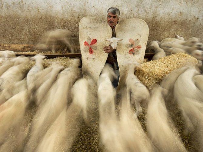 Лучшие фотографии National Geographic Лучшие фотографии National Geographic