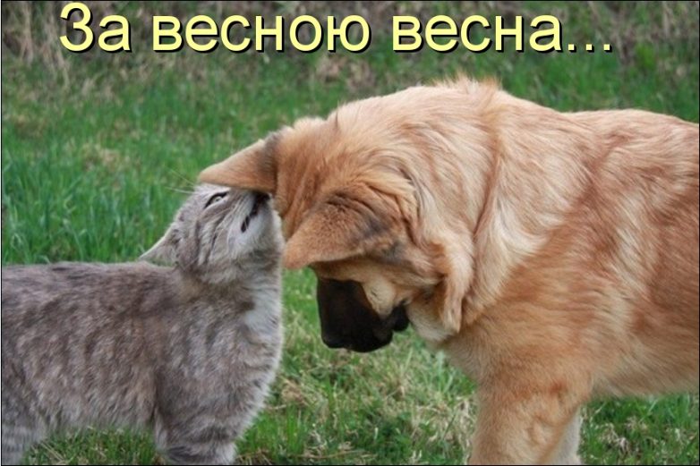Дружба навеки