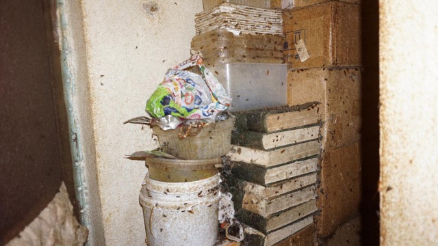 "Тараканы сыпались прямо на голову". В Екатеринбурге квартира, из-за которой в доме нет газа, оказалась помойкой с тараканами
