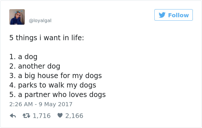 Dog Tweets