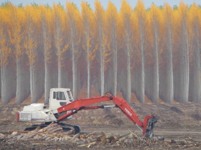 Boardman13 Живописная лесоферма в Орегоне