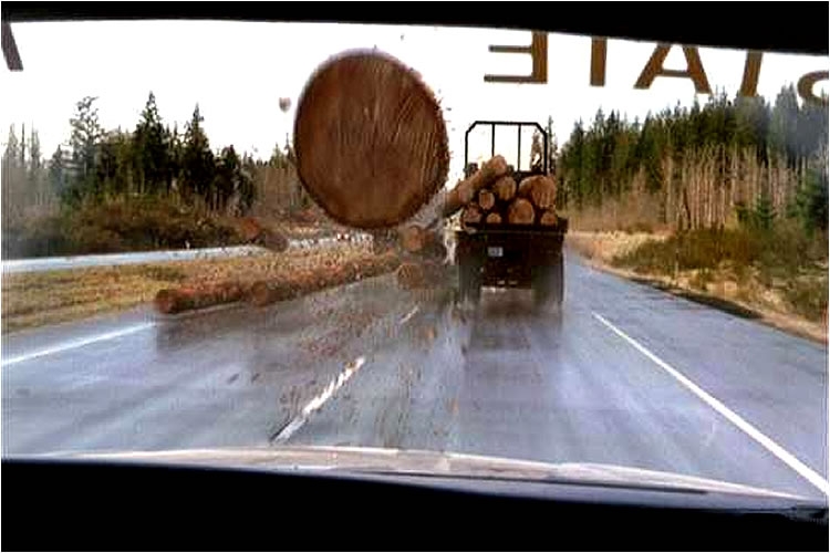 Фотографии, сделанные за миг до смерти