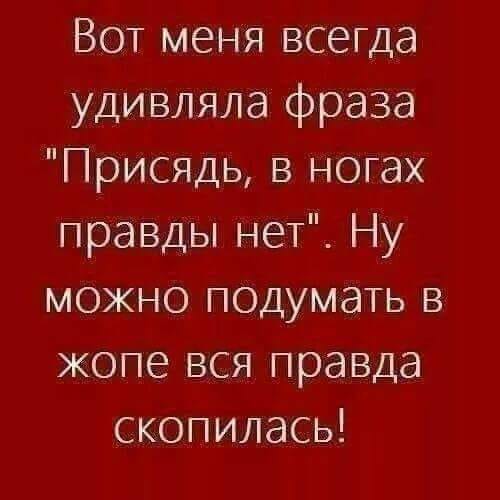 А правда, что вы раньше были лётчиком-испытателем? А правда, что вы раньше были лётчиком-испытателем?