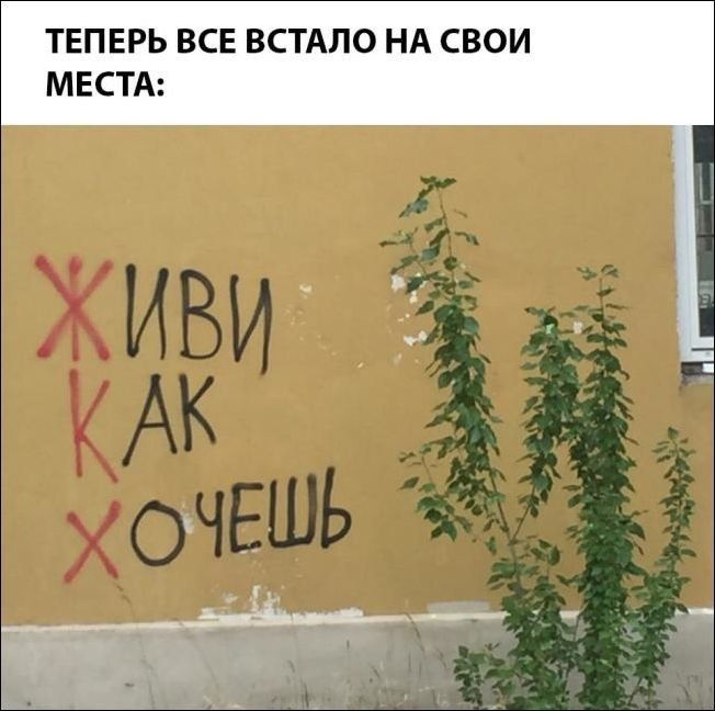 Мама: «Кто съел за ночь всю еду?» Мама: «Кто съел за ночь всю еду?»