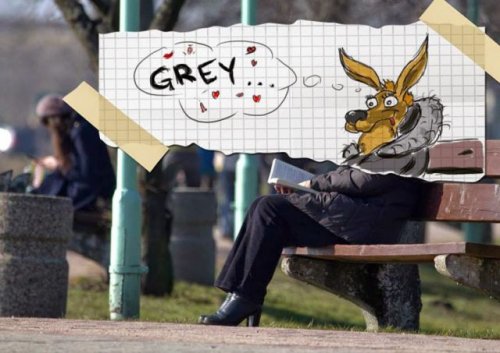 Фотографии с забавными рисунками Алекса Ночного (19 фото)