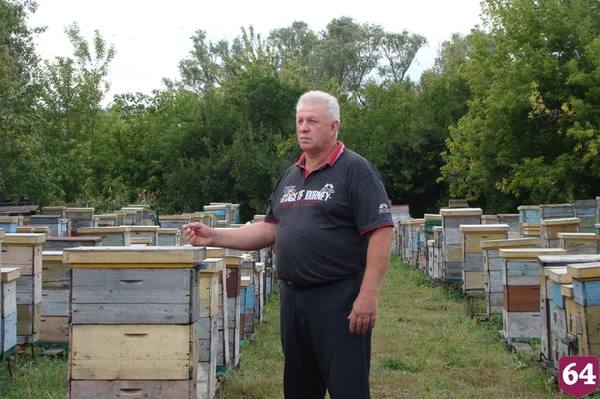 Саратовский пчеловод раскрыл секрет качественного меда