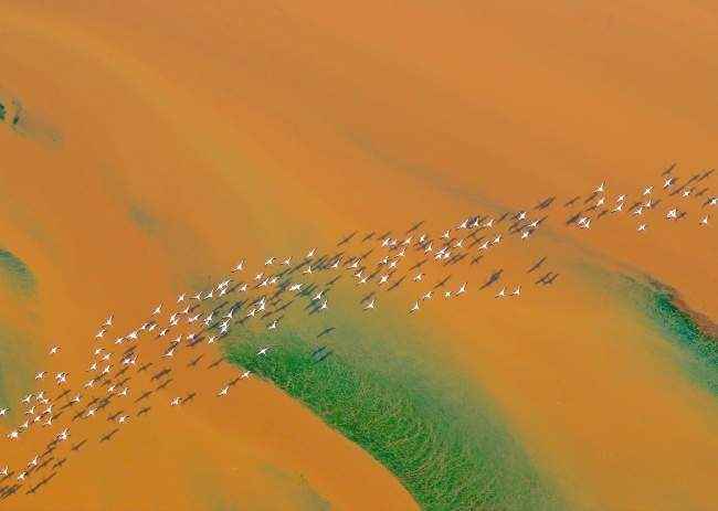 35 фотошедевров с конкурса «Лучшая фотография природы» от National Geographic