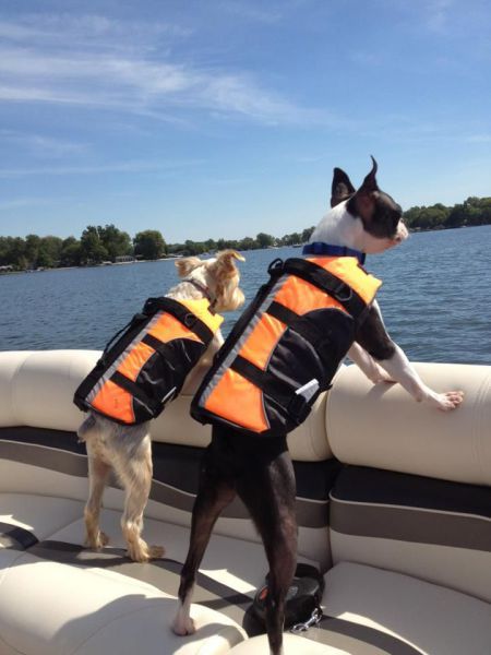 Красивые фото