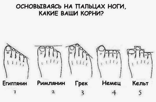 Загадка