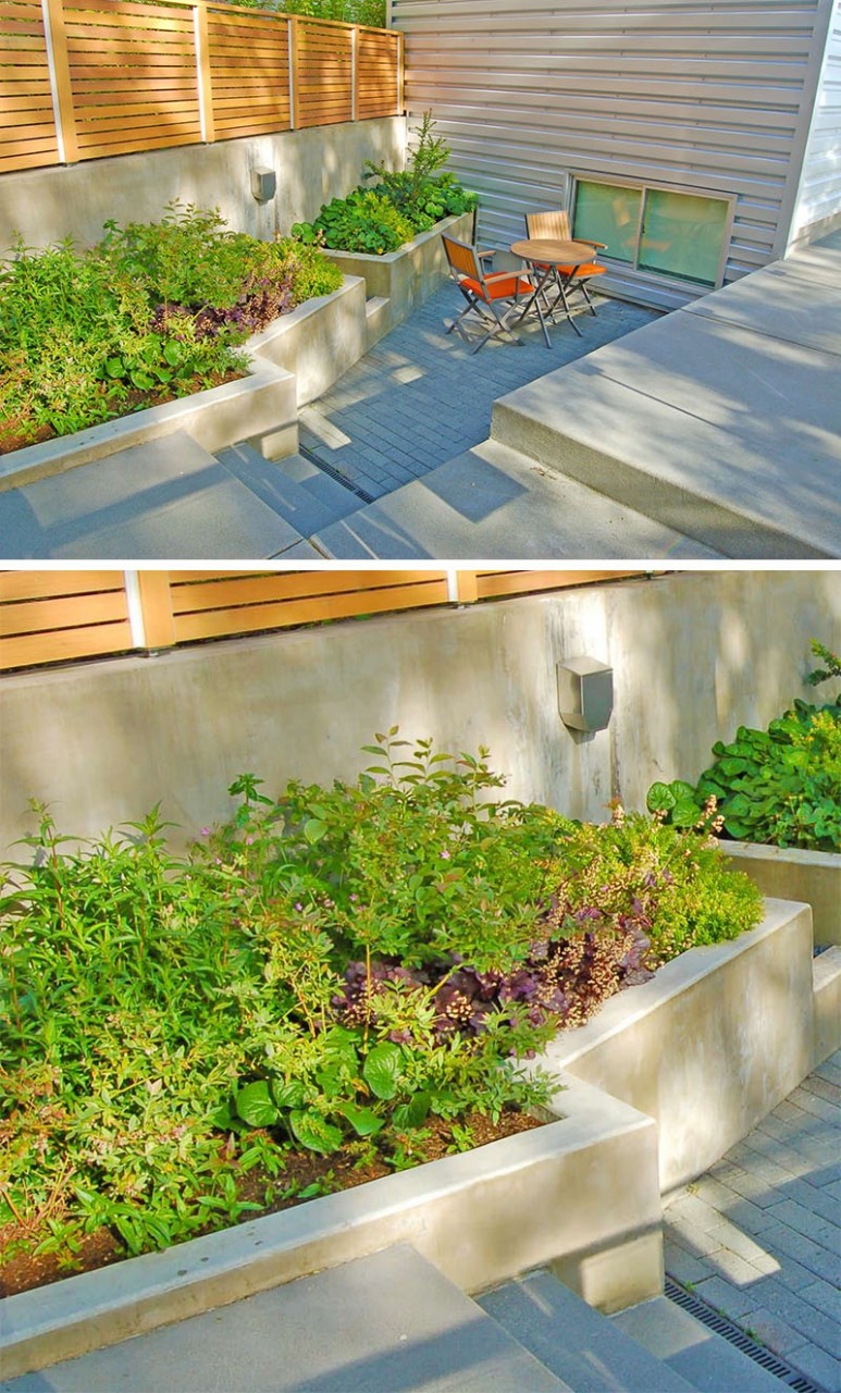 builtin-concrete-planters_270716_09