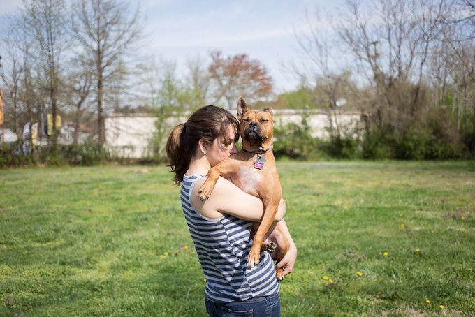 животные, отношения, люди, приют