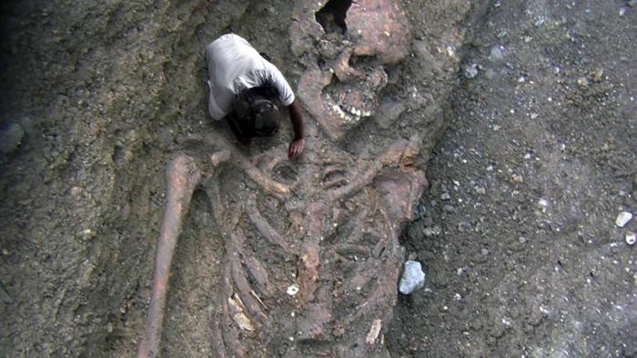 На Земле уже давно живут три расы инопланетян, и они очень опасны (4 фото)