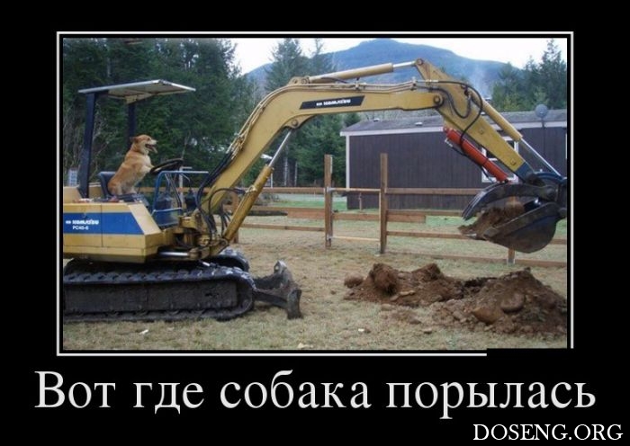 Демотиваторы Демотиваторы