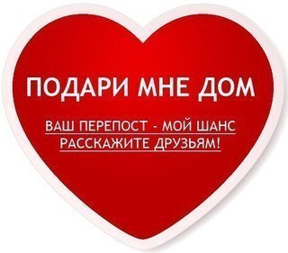 Это нежное создание создано для дома, с ней всегда тепло и солнечно!