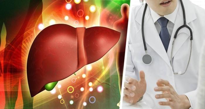 Как долго восстанавливается печень после отказа от употребления алкоголя