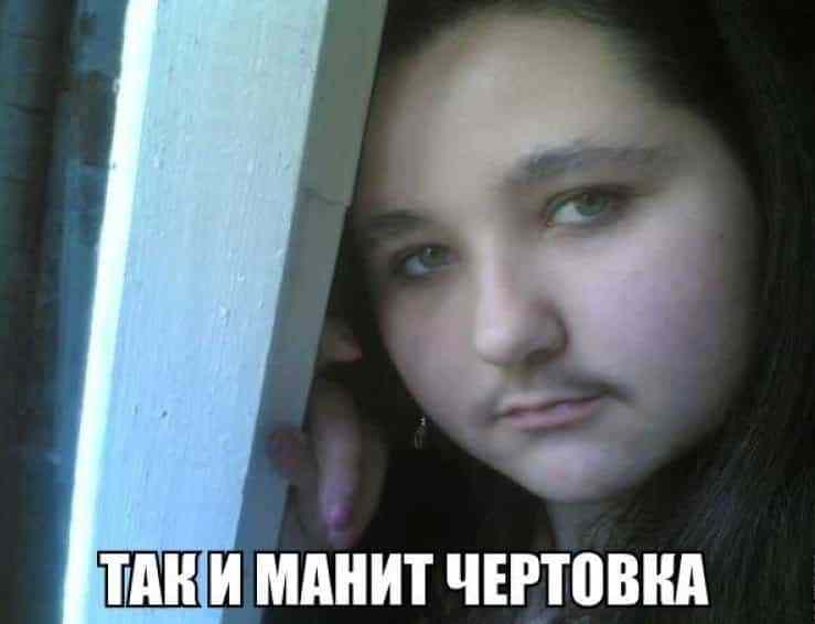 Глядя на эти фото, ты будешь смеяться так, что сбегутся соседи! Глядя на эти фото, ты будешь смеяться так, что сбегутся соседи!