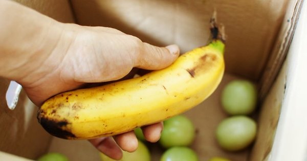 Спелый банан ускоряет созревание зеленых помидоров