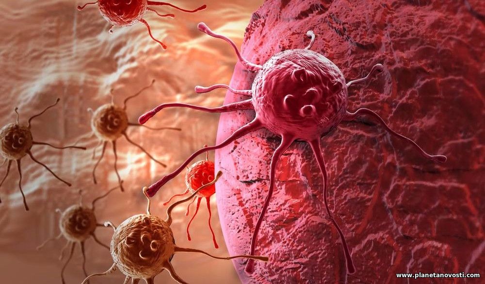Рак может передаваться от человека к человеку: новое исследование ученых