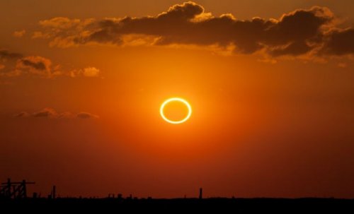 original.jpg#20359805870