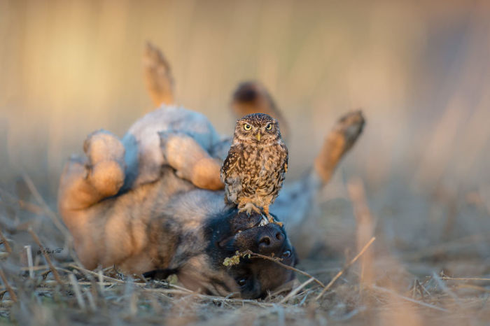 Таня Брандт (Tanja Brandt) любит фотографировать своих друзей на природе. Таня Брандт (Tanja Brandt) любит фотографировать своих друзей на природе.