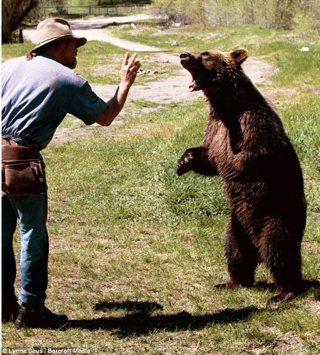 животные, кино