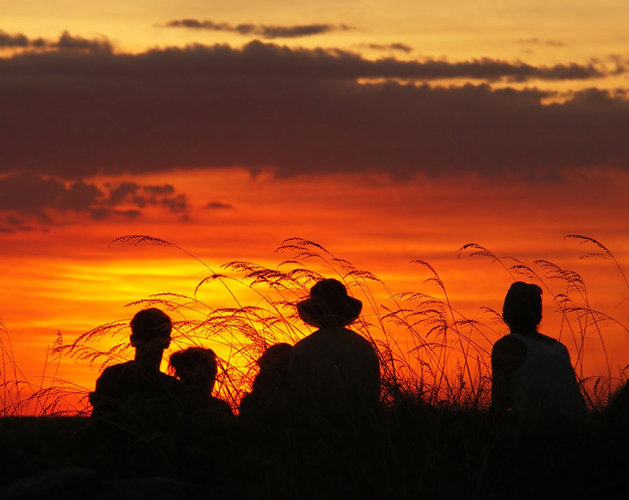 Фотогалерея Национальный парк Какаду
